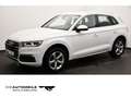 Audi Q5 2.0 TDI S-tronic quattro design AHK/Rückkam/A Weiß - thumbnail 1