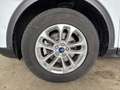 Ford Kuga Plug-In Hybrid Titanium X Winterpaket/Fahrassisten Bianco - thumbnail 7