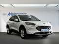 Ford Kuga Plug-In Hybrid Titanium X Winterpaket/Fahrassisten Bianco - thumbnail 3