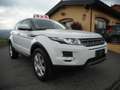 Land Rover Range Rover Evoque 2.2 TD4 5/P PURE 4X4 -AUTOMATICA -UNIPROPRIETARIO! Weiß - thumbnail 1