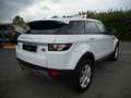 Land Rover Range Rover Evoque 2.2 TD4 5/P PURE 4X4 -AUTOMATICA -UNIPROPRIETARIO! Weiß - thumbnail 6