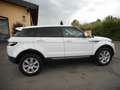 Land Rover Range Rover Evoque 2.2 TD4 5/P PURE 4X4 -AUTOMATICA -UNIPROPRIETARIO! Weiß - thumbnail 8