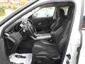 Land Rover Range Rover Evoque 2.2 TD4 5/P PURE 4X4 -AUTOMATICA -UNIPROPRIETARIO! Weiß - thumbnail 10