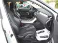 Land Rover Range Rover Evoque 2.2 TD4 5/P PURE 4X4 -AUTOMATICA -UNIPROPRIETARIO! Weiß - thumbnail 11