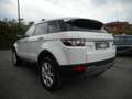Land Rover Range Rover Evoque 2.2 TD4 5/P PURE 4X4 -AUTOMATICA -UNIPROPRIETARIO! Weiß - thumbnail 4