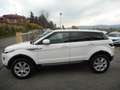 Land Rover Range Rover Evoque 2.2 TD4 5/P PURE 4X4 -AUTOMATICA -UNIPROPRIETARIO! Weiß - thumbnail 7