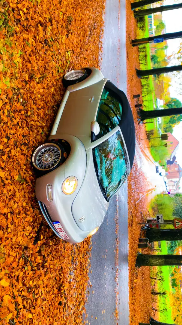 Volkswagen Beetle Plateado - 1