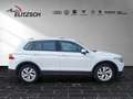 Volkswagen Tiguan Move LED RFK ACC NAVI PDC SHZ Weiß - thumbnail 6