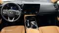 Lexus NX 450h+ 450h+ Luxe 4WD - thumbnail 11