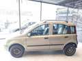 Fiat Panda 1.2 Climbing Natural Power Bronzo - thumbnail 5