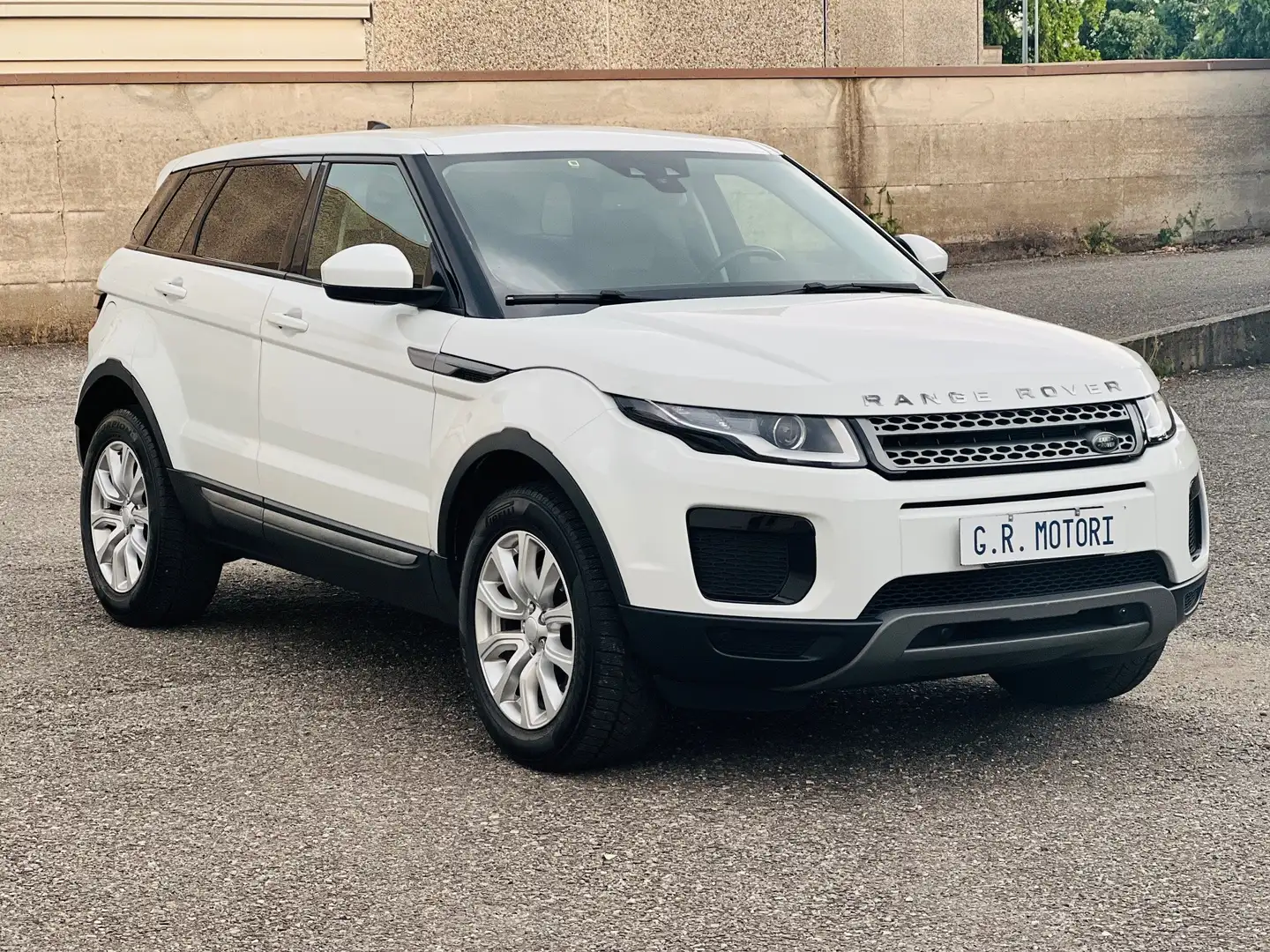 Land Rover Range Rover Evoque 2.0 td4 Pure Business edition Premium 150cv auto Білий - 1