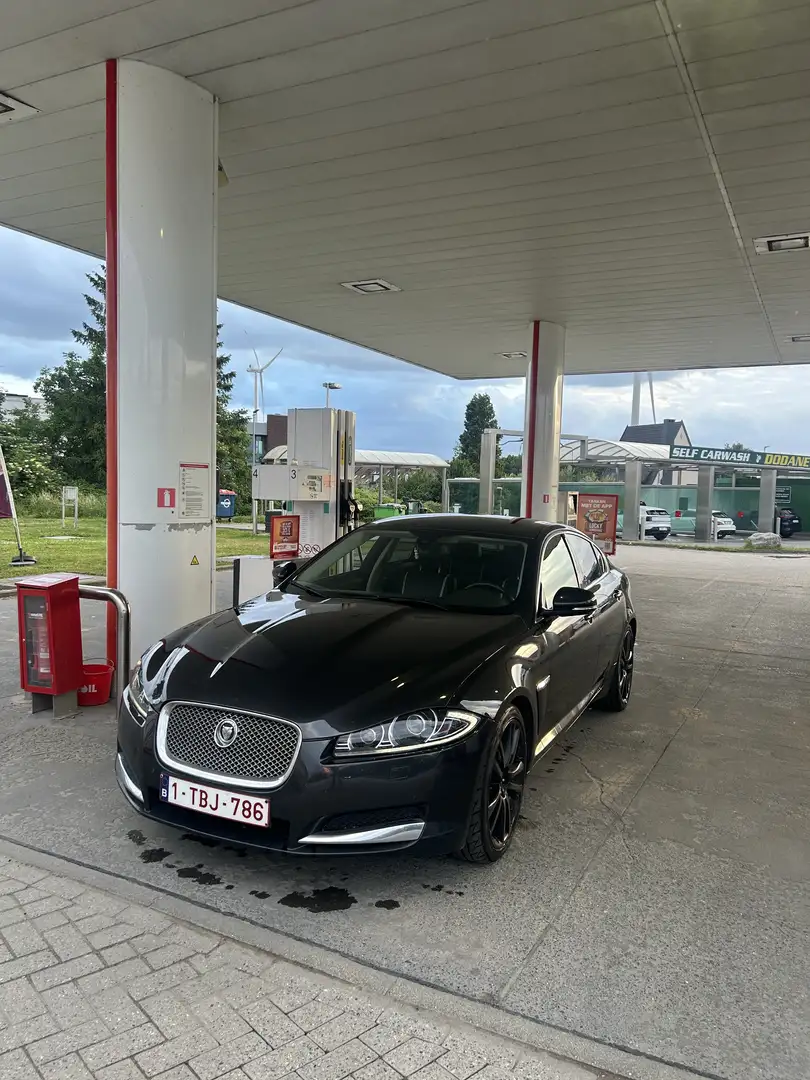Jaguar XF V6 3.0 D - 240 FAP Luxe A - 1