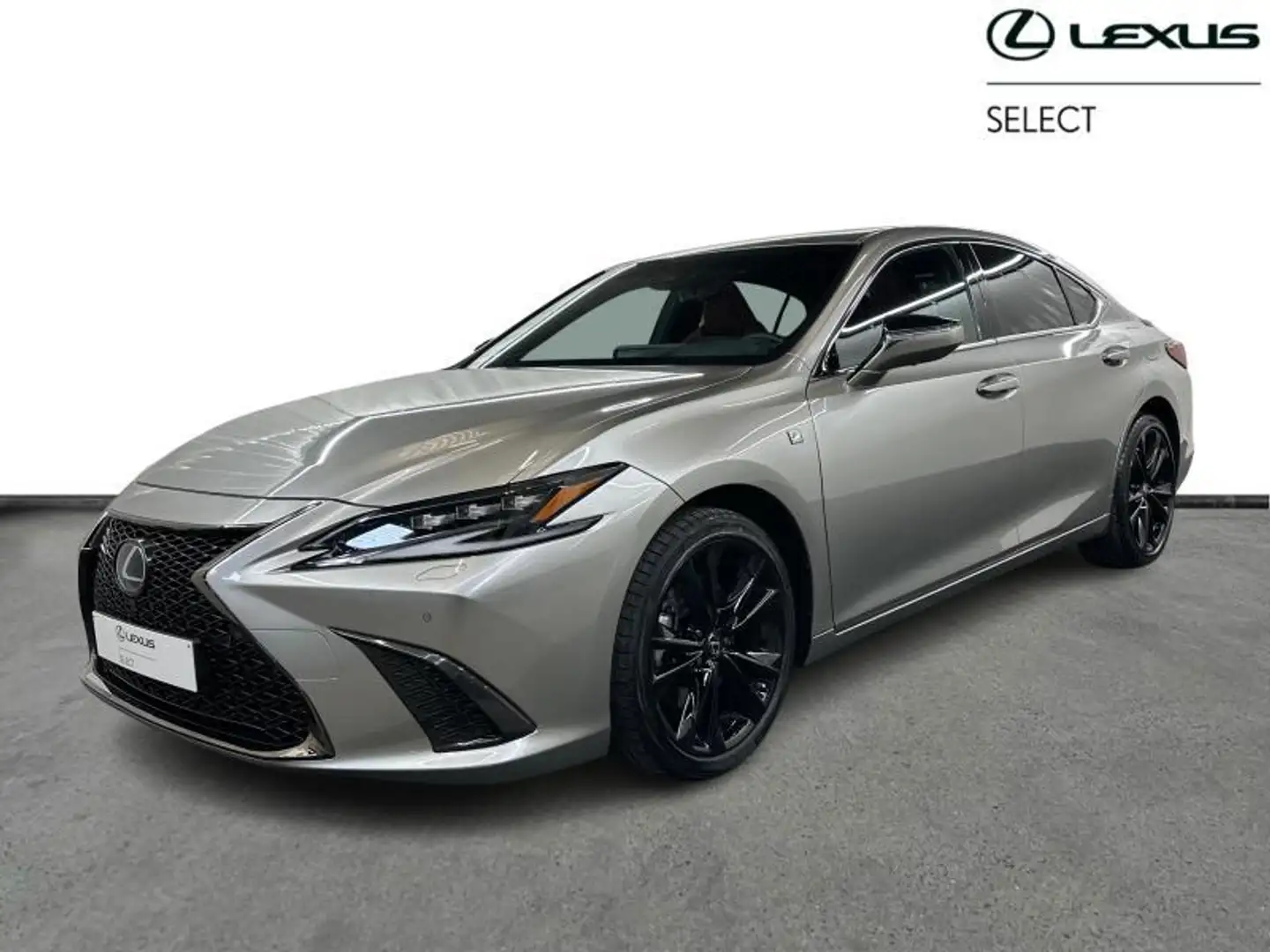 Lexus ES 300 F SPORT Line Gris - 1