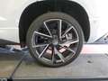 Skoda Karoq Sportline 1.5 TSI DSG PANO+ACC+RKAM+elHK Klima Weiß - thumbnail 10