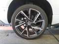 Skoda Karoq Sportline 1.5 TSI DSG PANO+ACC+RKAM+elHK Klima Weiß - thumbnail 11