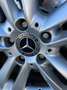 Mercedes-Benz CLK Mercedes-Benz Clase CLK W209 320 CDI 7G-TRONIC Negro - thumbnail 6