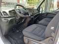 Iveco Daily 35 s 16 HI-MATIC A8 LH2 3520 Bianco - thumbnail 12
