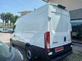 Iveco Daily 35 s 16 HI-MATIC A8 LH2 3520 Bianco - thumbnail 5