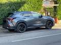 Lexus NX 450h+ NX 450h+ 2.5 phev Premium+ 4wd 309cv e-cvt - thumbnail 5