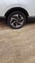 Honda CR-V CR-V 1.5 t Executive Navi awd 193cv cvt Bianco - thumbnail 3