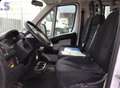 Fiat Ducato Maxi 35 LH1 2.3 mjt 130cv d.cab. E6 GRU -FS526MH Bianco - thumbnail 8