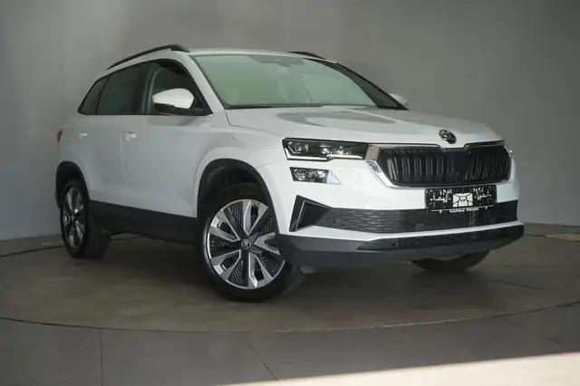 Skoda Karoq main image