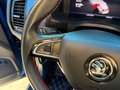 Skoda Kodiaq 2.0TDI RS 4x4 DSG 176kW Blau - thumbnail 12