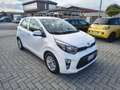 Kia Picanto Picanto 1.0 5 porte Style **PREZZO PROMO**5 POSTI Bianco - thumbnail 3