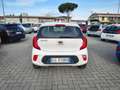 Kia Picanto Picanto 1.0 5 porte Style **PREZZO PROMO**5 POSTI Bianco - thumbnail 5