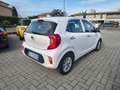 Kia Picanto Picanto 1.0 5 porte Style **PREZZO PROMO**5 POSTI Bianco - thumbnail 6