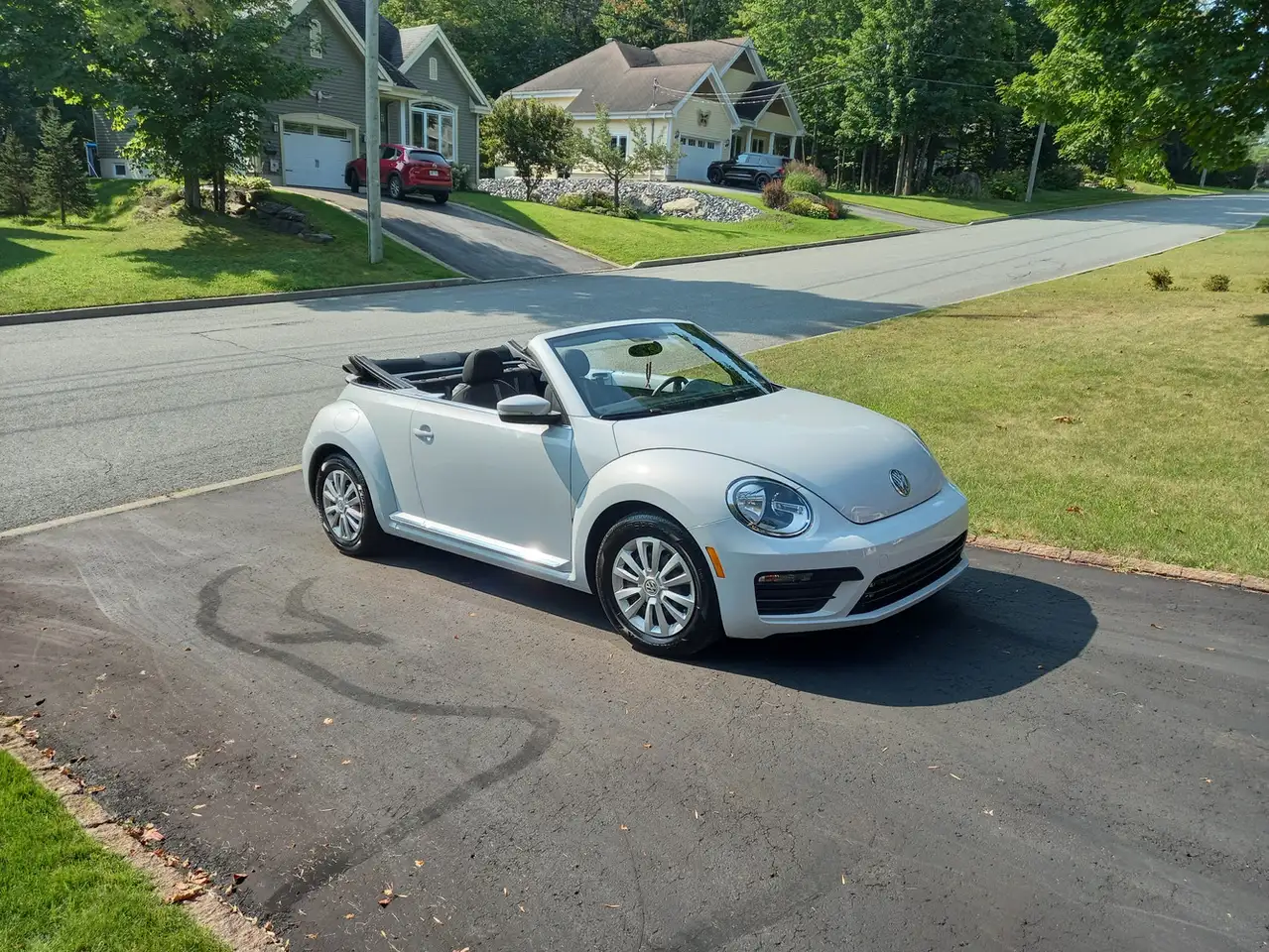 Volkswagen Beetle снимка Volkswagen Beetle