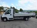 Fiat Ducato 35 2.3 MJT 130CV PASSO MEDIO  CASSONE-NAVI- Bianco - thumbnail 4