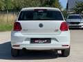 Volkswagen Polo 1.4 CR TDi Trendline BMT * MARCHAND / EXPORT * Blanc - thumbnail 5