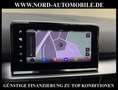SEAT Tarraco XCELLENCE 1.4 TSI e-HYBRID DSG AHK/19/ Xcellence Grau - thumbnail 21
