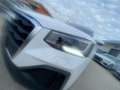 Audi Q2 30 2.0 tdi Business s-tronic 116cv - thumbnail 7