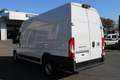Fiat Ducato Maxi L4H3 180 Abstandstempomat/ 360Grad ... Weiß - thumbnail 10