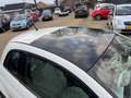 Fiat 500 1.2 Lounge AIRCO PANORAMA DAK ZWARTE VELGEN APK Weiß - thumbnail 14