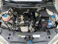 SEAT Ibiza 1.2 TSI Style 1.Hand TÜV2.27 Klima Weiß - thumbnail 16