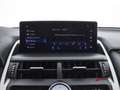 Lexus NX 300h Hybrid 4WD Luxury Argento - thumbnail 14