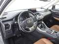 Lexus NX 300h Hybrid 4WD Luxury Argento - thumbnail 8