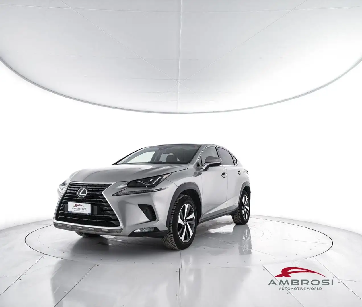 Lexus NX 300h Hybrid 4WD Luxury Argento - 1