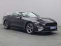 Ford Mustang GT Cabrio V8 California Special -21%* Grau - thumbnail 5