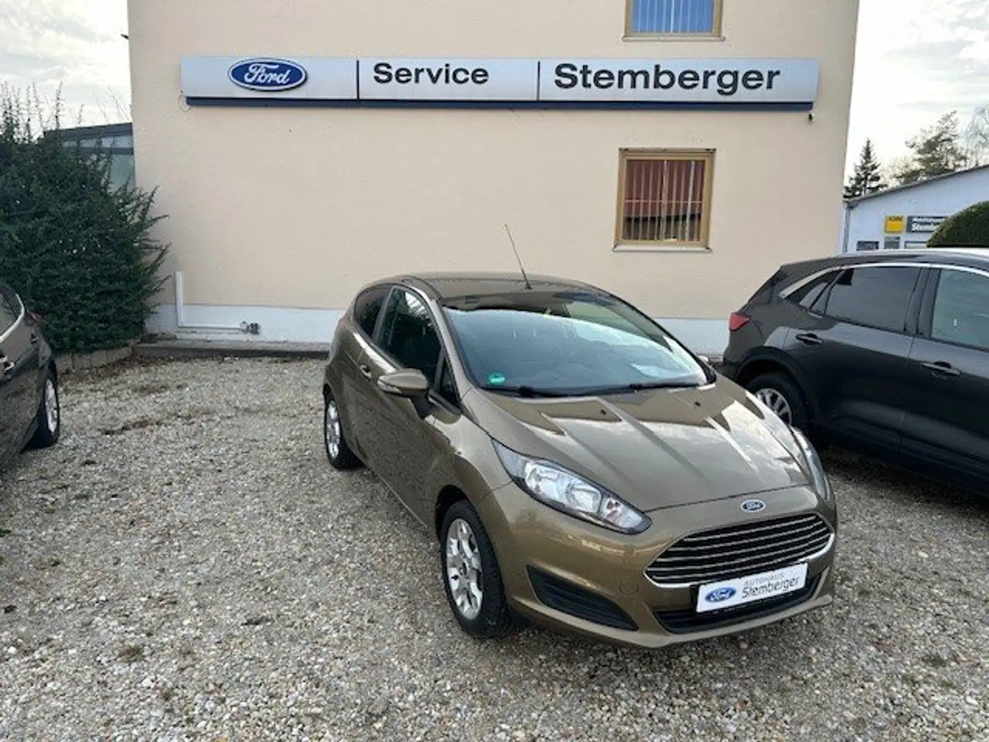 Ford Fiesta Trend Gold - 1