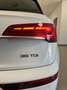 Audi Q5 Todoterreno Automático de 5 Puertas Blanc - thumbnail 17