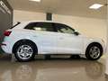Audi Q5 Todoterreno Automático de 5 Puertas Blanc - thumbnail 11