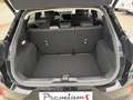 Ford Puma TITANIUM 125 PS EcoBoost/Benzin Mild-Hybrid (SO... Schwarz - thumbnail 9