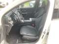 Mercedes-Benz GLC 300 4MATIC AMG, AHV, Digital Light Wit - thumbnail 12