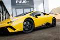 Lamborghini Huracán 5.2 V10 Performante Giallo Inti - Sensonum Audio - Amarillo - thumbnail 12