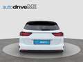 Kia Ceed SW / cee'd SW Ceed Sportswagon Silber Weiß - thumbnail 5