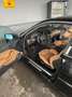 BMW 320 320Cd Exclusive Schwarz - thumbnail 5